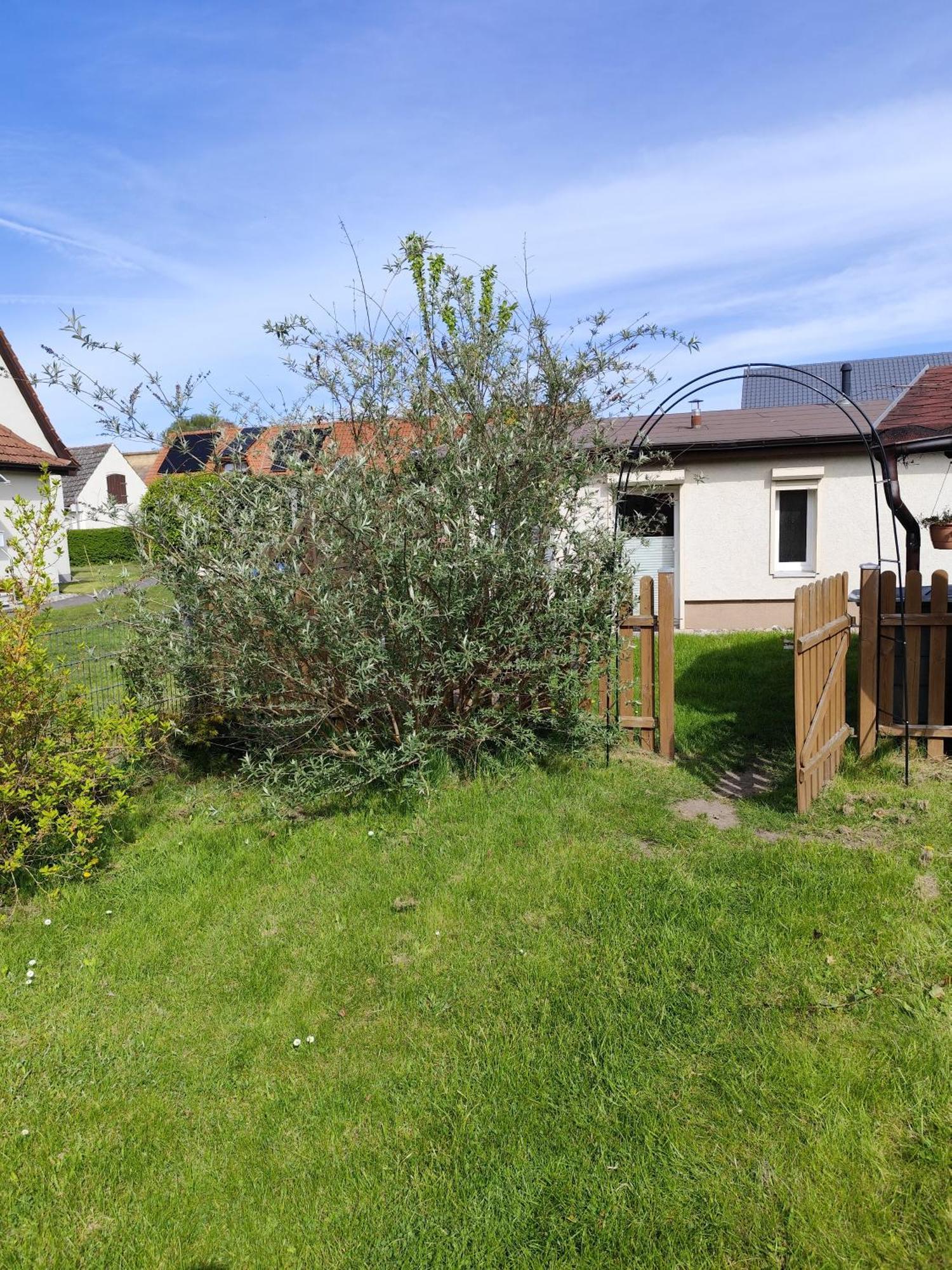 Sonnengarten Uckeritz Esterno foto